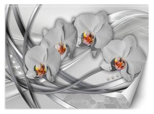 Gario Fotótapéta Absztrakt orchideák Anyag: Vlies, Méret: 200 x 140 cm