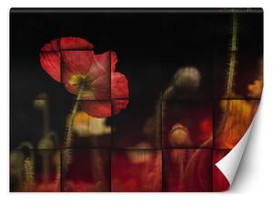 Gario Fotótapéta Vörös pipacsvirág Anyag: Vlies, Méret: 200 x 140 cm