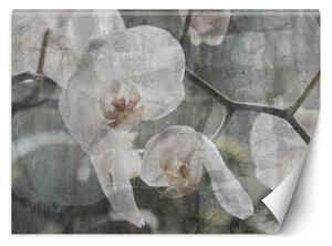 Gario Fotótapéta Orchidea vintage Anyag: Vlies, Méret: 200 x 140 cm