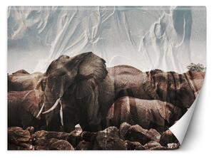 Gario Fotótapéta Elefántok egy csordában Anyag: Vlies, Méret: 200 x 140 cm