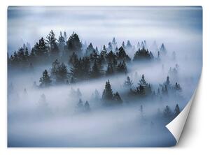 Gario Fotótapéta Erdő a ködben Anyag: Vlies, Méret: 200 x 140 cm