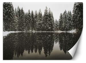 Gario Fotótapéta Tó az erdőben télen Anyag: Vlies, Méret: 200 x 140 cm
