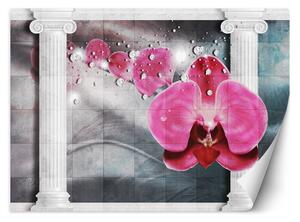 Gario Fotótapéta Rózsaszín orchidea virág Anyag: Vlies, Méret: 200 x 140 cm