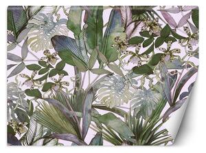 Gario Fotótapéta Monstera és trópusi levelek pasztellben Anyag: Vlies, Méret: 100 x 70 cm