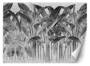 Gario Fotótapéta Banánlevelek fekete-fehérben Anyag: Vlies, Méret: 200 x 140 cm