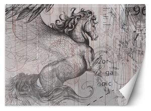 Gario Fotótapéta Pegasus - egy ijedt ló egy absztrakt grafikán Anyag: Vlies, Méret: 200 x 140 cm