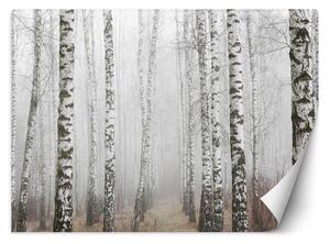 Gario Fotótapéta Nyírfaerdő a ködben Anyag: Vlies, Méret: 200 x 140 cm