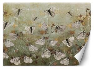 Gario Fotótapéta Pillangók egy régi fal hátterében Anyag: Vlies, Méret: 200 x 140 cm