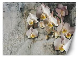 Gario Fotótapéta Virágzó orchidea egy régi fal hátterén Anyag: Vlies, Méret: 200 x 140 cm