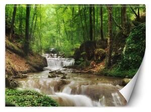 Gario Fotótapéta Víz az erdő közepén Anyag: Vlies, Méret: 200 x 140 cm
