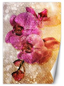 Gario Fotótapéta Lila orchideák Anyag: Vlies, Méret: 100 x 140 cm