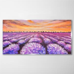 Üvegkép Lavender Field Sunset