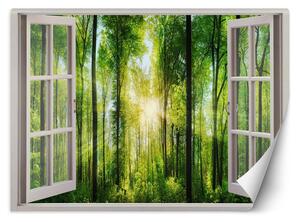 Gario Fotótapéta Ablak - napsugarak az erdőben Anyag: Vlies, Méret: 140 x 100 cm
