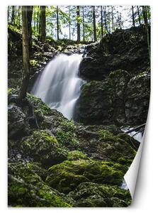 Gario Fotótapéta Vízesés az erdő közepén Anyag: Vlies, Méret: 100 x 140 cm