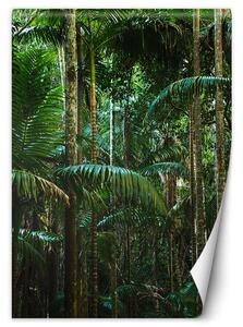 Gario Fotótapéta Trópusi fák a szigeten Anyag: Vlies, Méret: 100 x 140 cm
