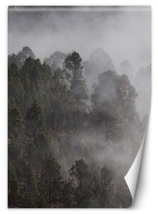 Gario Fotótapéta Zöld erdő a ködben Anyag: Vlies, Méret: 100 x 140 cm