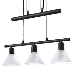 Lindby - Delira 3 Függőlámpa Black - Lampemesteren