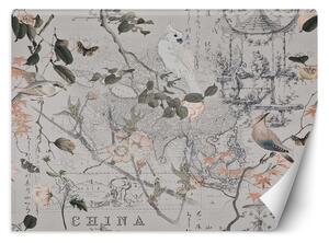 Gario Fotótapéta Vintage térkép és madarak - Andrea Haase Anyag: Vlies, Méret: 200 x 140 cm