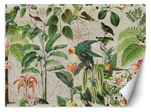Gario Fotótapéta Zöld madarak a trópusokon - Andrea Haase Anyag: Vlies, Méret: 200 x 140 cm