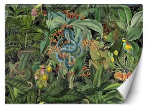 Gario Fotótapéta Kígyó és a sötét trópusok - Andrea Haase Anyag: Vlies, Méret: 200 x 140 cm