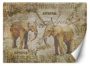 Gario Fotótapéta Régi térkép és elefántok vintege - Andrea Haase Anyag: Vlies, Méret: 200 x 140 cm