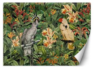 Gario Fotótapéta Két papagáj trópusi - Andrea Haase Anyag: Vlies, Méret: 200 x 140 cm