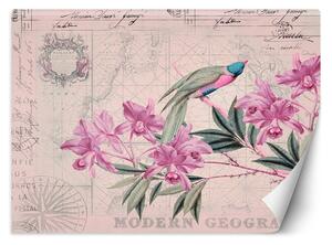 Gario Fotótapéta Madár egy ágon rózsaszínen - Andrea Haase Anyag: Vlies, Méret: 200 x 140 cm