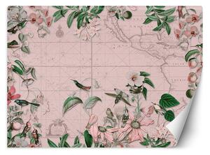 Gario Fotótapéta Madarak a kontinensek körül rózsaszínuek - Andrea Haase Anyag: Vlies, Méret: 200 x 140 cm