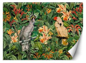 Gario Fotótapéta Nagy papagájok a zöld trópusokon - Andrea Haase Anyag: Vlies, Méret: 200 x 140 cm