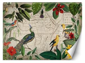 Gario Fotótapéta Vad trópusi madarak - Andrea Haase Anyag: Vlies, Méret: 200 x 140 cm
