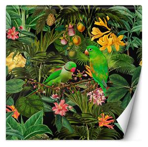 Gario Fotótapéta A zöld levelek a madarak természetét - Andrea Haase Anyag: Vlies, Méret: 100 x 100 cm