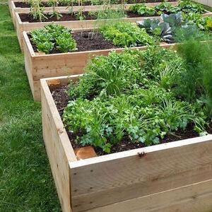 LSH Garden Box magaságyás - 200x80x60