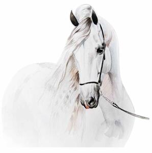 Gario Falmatrica gyerekeknek Fehér akvarell ló Méret: 100 x 100 cm