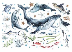 Gario Falmatrica gyerekeknek Ocean - bálna, delfinek, teknős és fóka