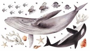 Gario Falmatrica gyerekeknek Ocean - bálna, kardszárnyú delfin, polip és teknosök