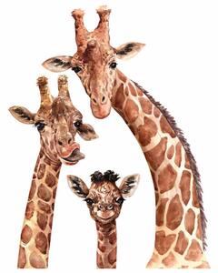 Gario Falmatrica gyerekeknek Giraffes - zsiráf család Méret: L