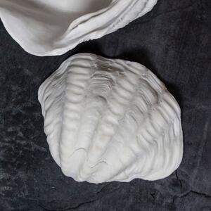 Poligyanta dekoratív tál 24x19 cm Shell – Mette Ditmer Denmark