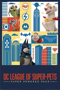 Plakát DC Super Pets - Activate, (61 x 91.5 cm)