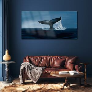 Üvegkép Az állatok bálnája