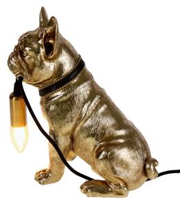 Francis asztali lámpa, francia bulldog - arany
