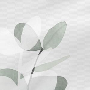 Pamut párnahuzat szett 2 db-os 50x75 cm Corymbia – Blanc