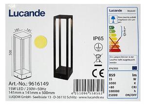 Lucande Lucande - LED Kültéri lámpa CARLOTA LED/15W/230V IP65 LW0735