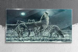 Üvegkép Az állatok festése farkasok