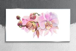 Üvegkép Akvarell orchidea virág