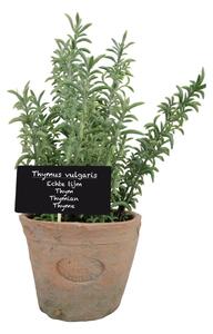 Műnövény (magasság 21,5 cm) Thyme – Esschert Design
