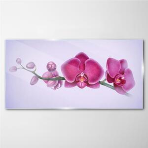 Üvegkép Akvarell virág ága Orchidea