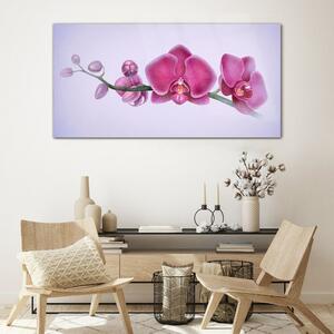 Üvegkép Akvarell virág ága Orchidea