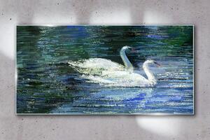 Üvegkép Tó madarak Swans Water