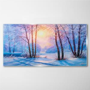 Üvegkép Téli erdő naplemente természete