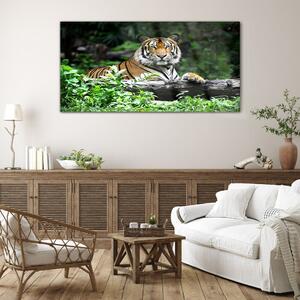 Üvegkép Erdei állat macska tigris